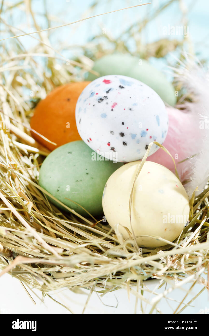 Chocolat de pâques oeufs dans le nid Banque D'Images