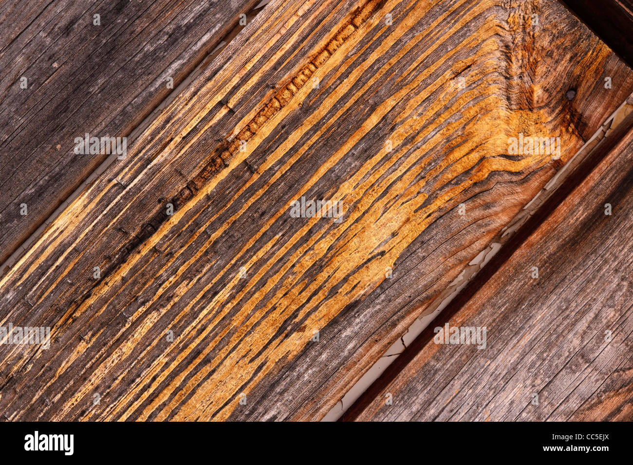 Vieux bois coloré détail du grain, Lincolnshire, Angleterre, RU Banque D'Images