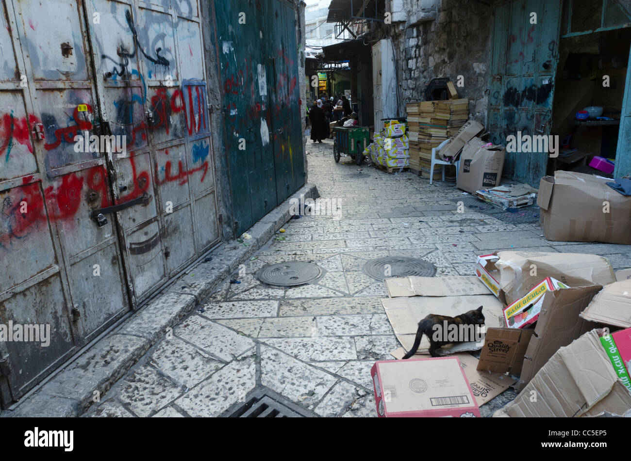 Scène de rue avec cat et graffiti détritus. quartier musulman. Vieille ville de Jérusalem Israël. Banque D'Images