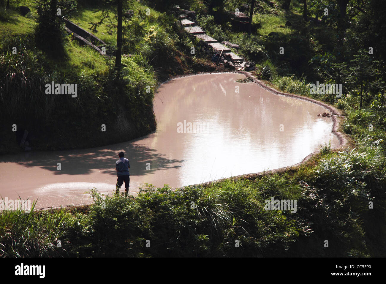 L'homme debout à côté d'un étang, Yongjia, Wenzhou, Zhejiang, Chine Banque D'Images