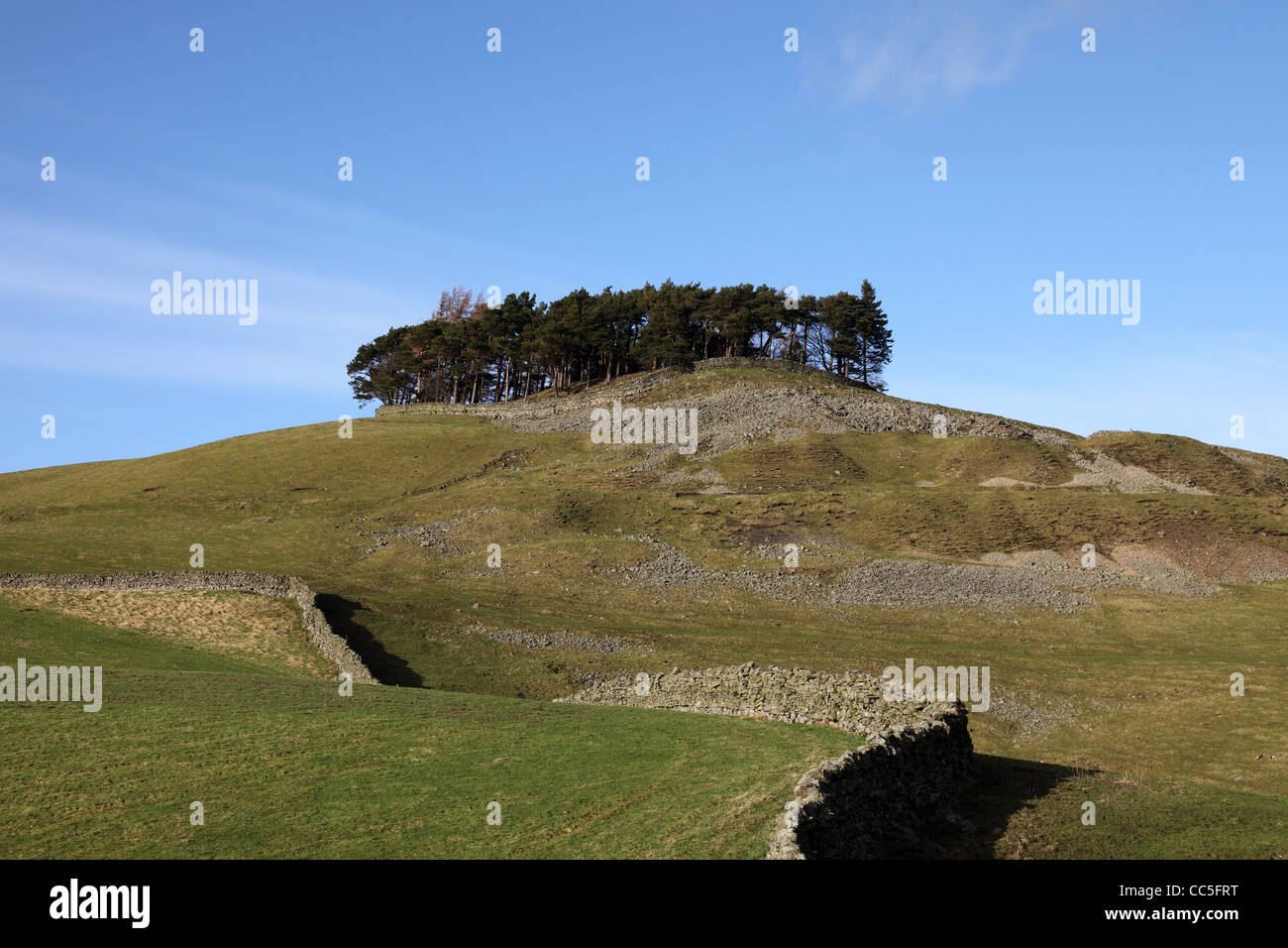 L'ancienne colline de tumulus dans Kirkcarrion Lunedale Teesdale County Durham UK Banque D'Images