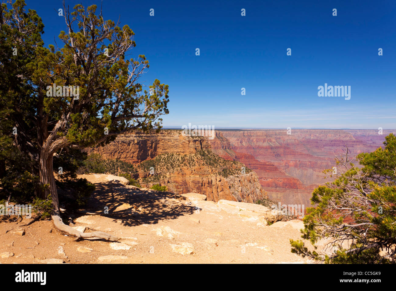 Grand Canyon South Rim Point Hopi Grand Canyon National Park Arizona USA Banque D'Images