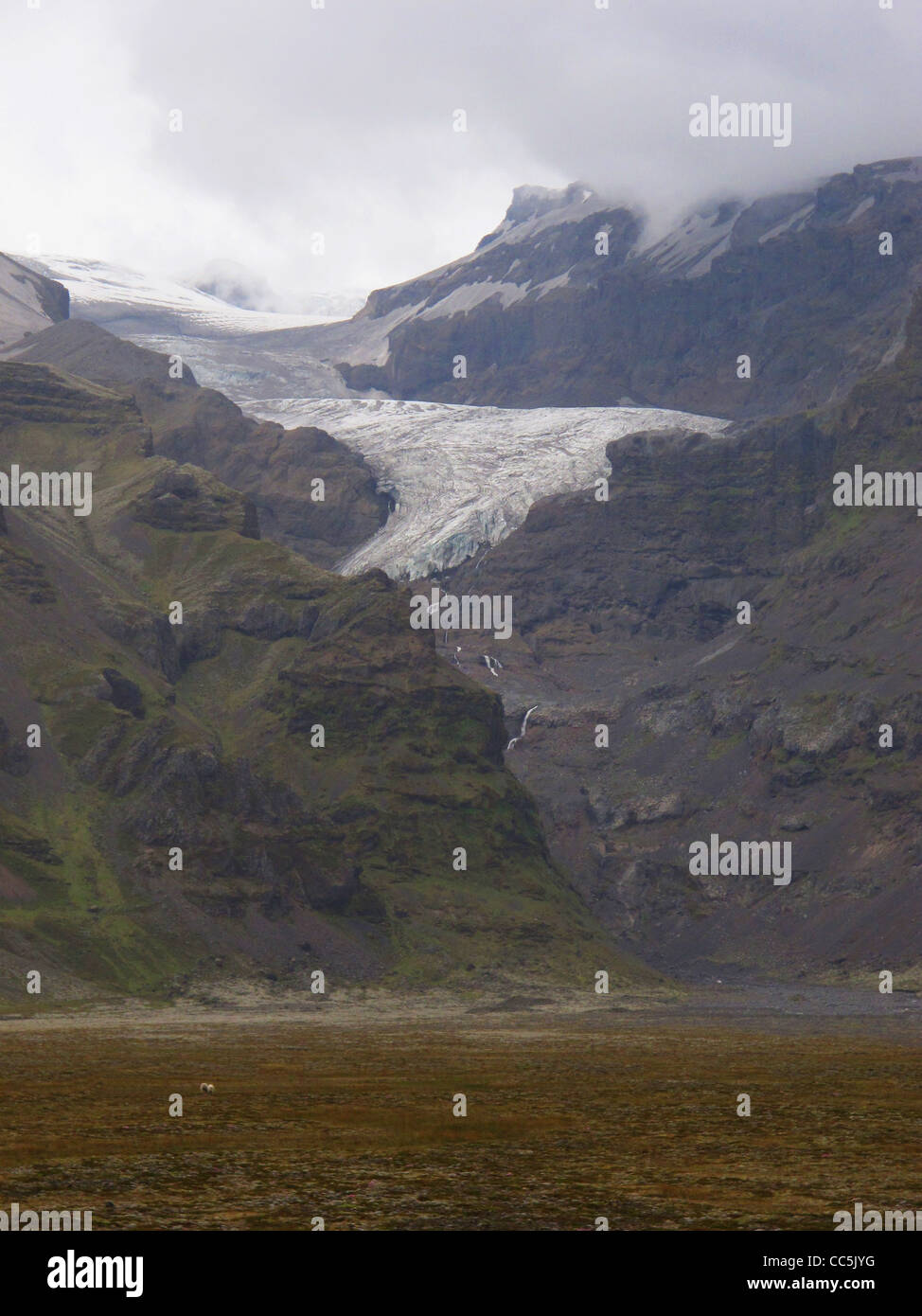 Langue de glace du glacier à l'intérieur du parc national du Vatnajökull. Le sud-est de l'Islande. Banque D'Images