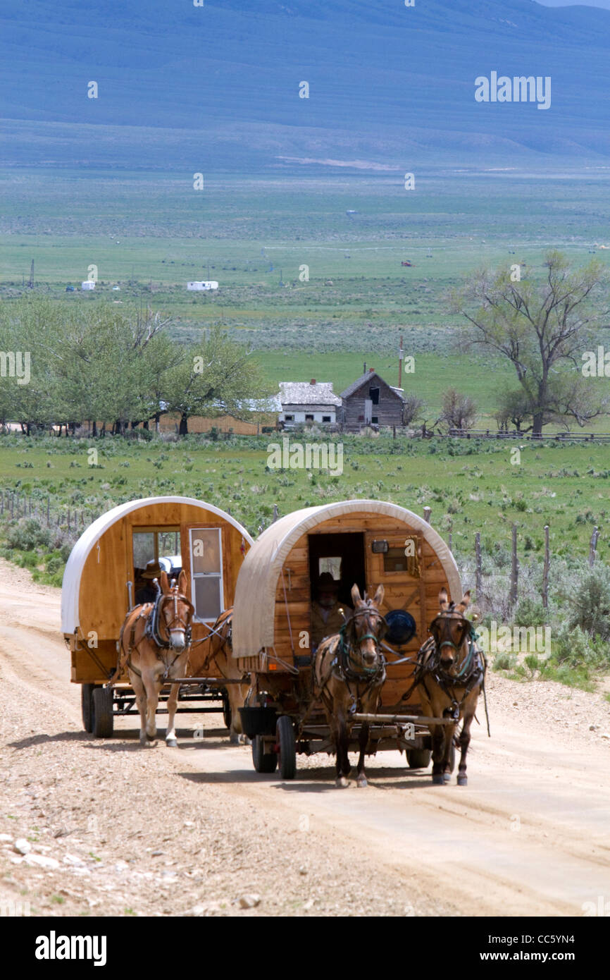 Des wagons couverts d'être tiré par des mulets dans la ville de rochers Réserve Nationale et State Park dans le comté de Cassia, Florida, USA. Banque D'Images