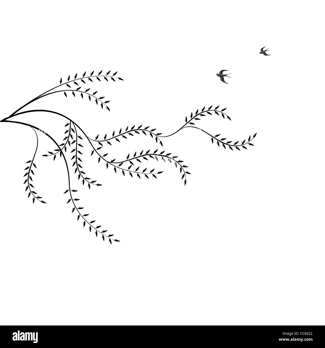 Branche de saule et oiseaux isolé sur fond blanc Banque D'Images Branche de saule et oiseaux isolé sur fond blanc Banque D'Images
