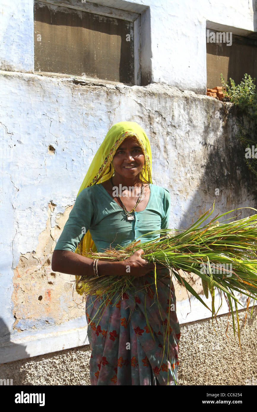 Village indien femme avec des graminées sauvages . Le Rajasthan. Banque D'Images