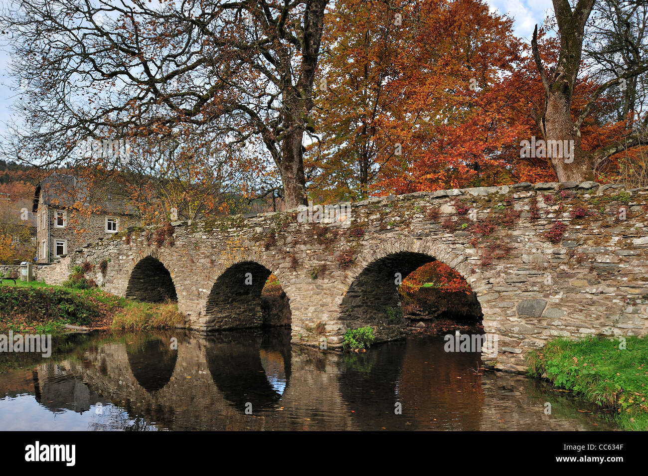 Vieux pont pittoresque en pierre, le Pont SaintLambert à Vressesur