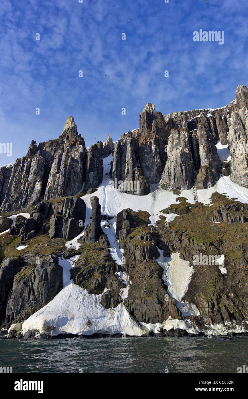 Falaises Alkefjellet colonie d'oiseaux de mer dans le Nord de l'été arctique, Spitzberg, Svalbard, Norvège, Europe Banque D'Images Falaises Alkefjellet colonie d'oiseaux de mer dans le Nord de l'été arctique, Spitzberg, Svalbard, Norvège, Europe Banque D'Images