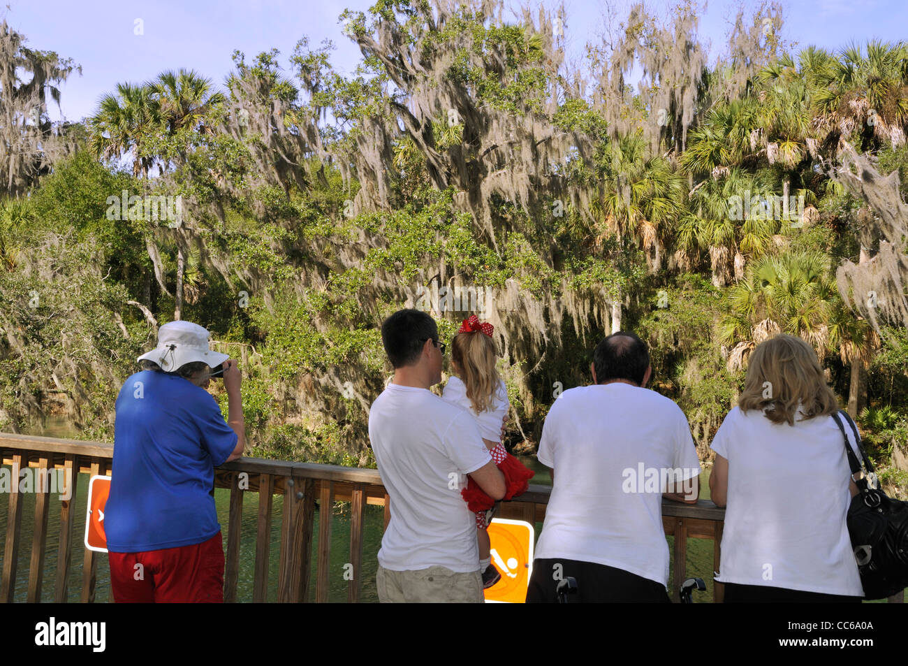 Visiteurs à Blue Spring State Park à un belvédère à lamantins Banque D'Images