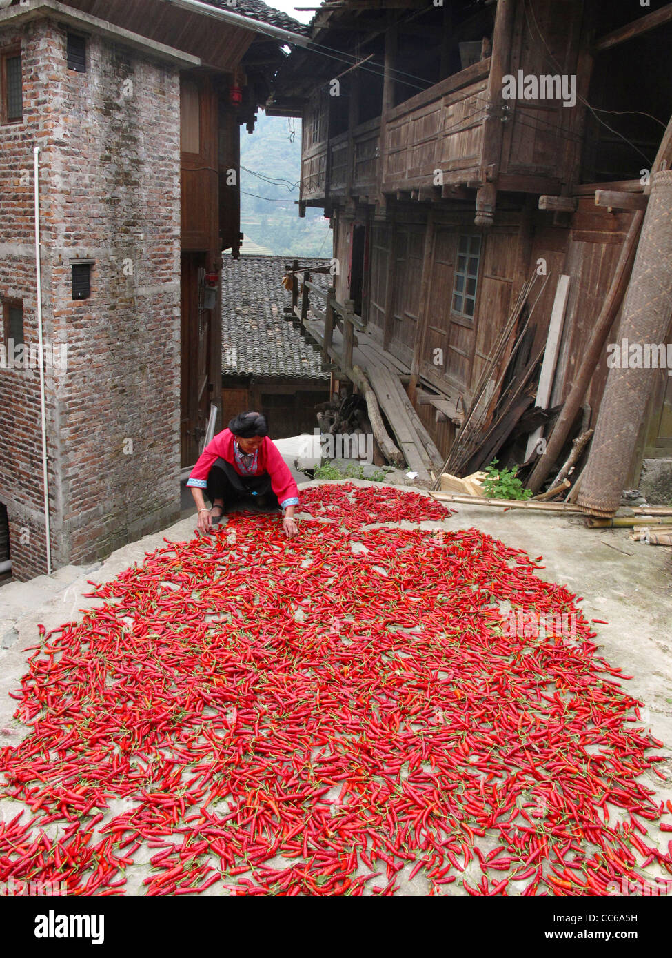 Yao rouge séchage femme de poivre de cayenne, Huangluo Yao Village, Longsheng, Guilin, Guangxi, Chine Banque D'Images