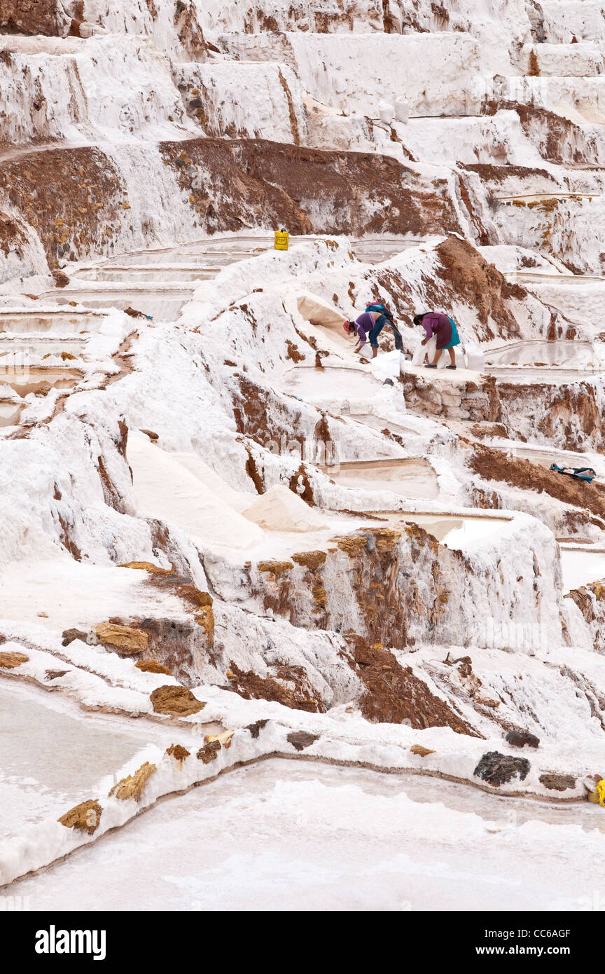 La récolte de sel à travailleurs Inca Salinas de Maras les étangs d'eau salée avec terrasse panoramique, terrasses des mines Mines Vallée Sacrée, le Pérou. Banque D'Images