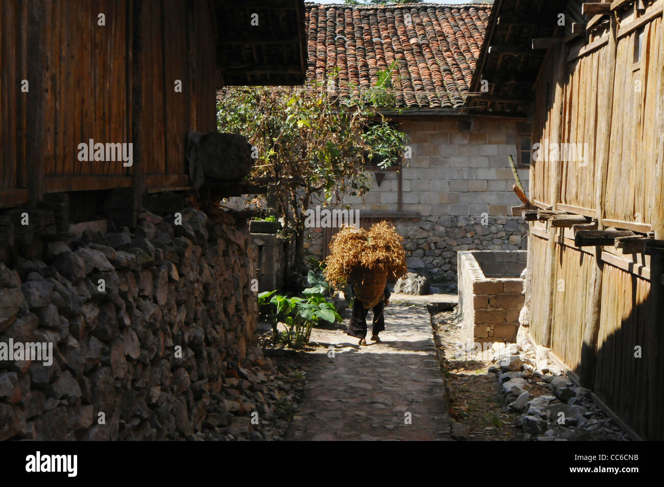 Heiyi Zhuang homme marchant avec un packbasket, Napo Heiyi Zhuang Région folklorique, Baïse, Guangxi, Chine Banque D'Images