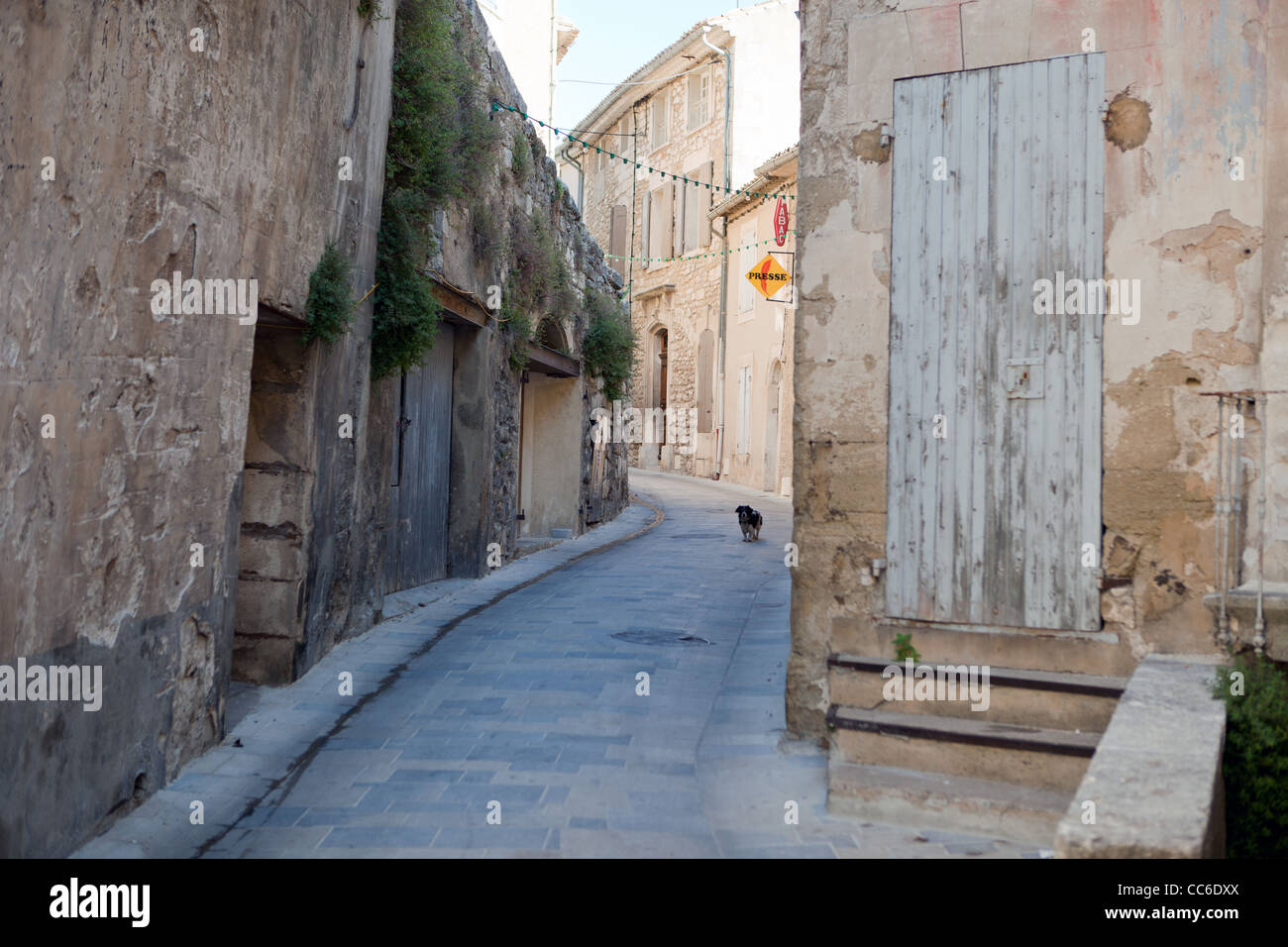 Un petit chien marche dans une ruelle à Ménerbes, France Banque D'Images