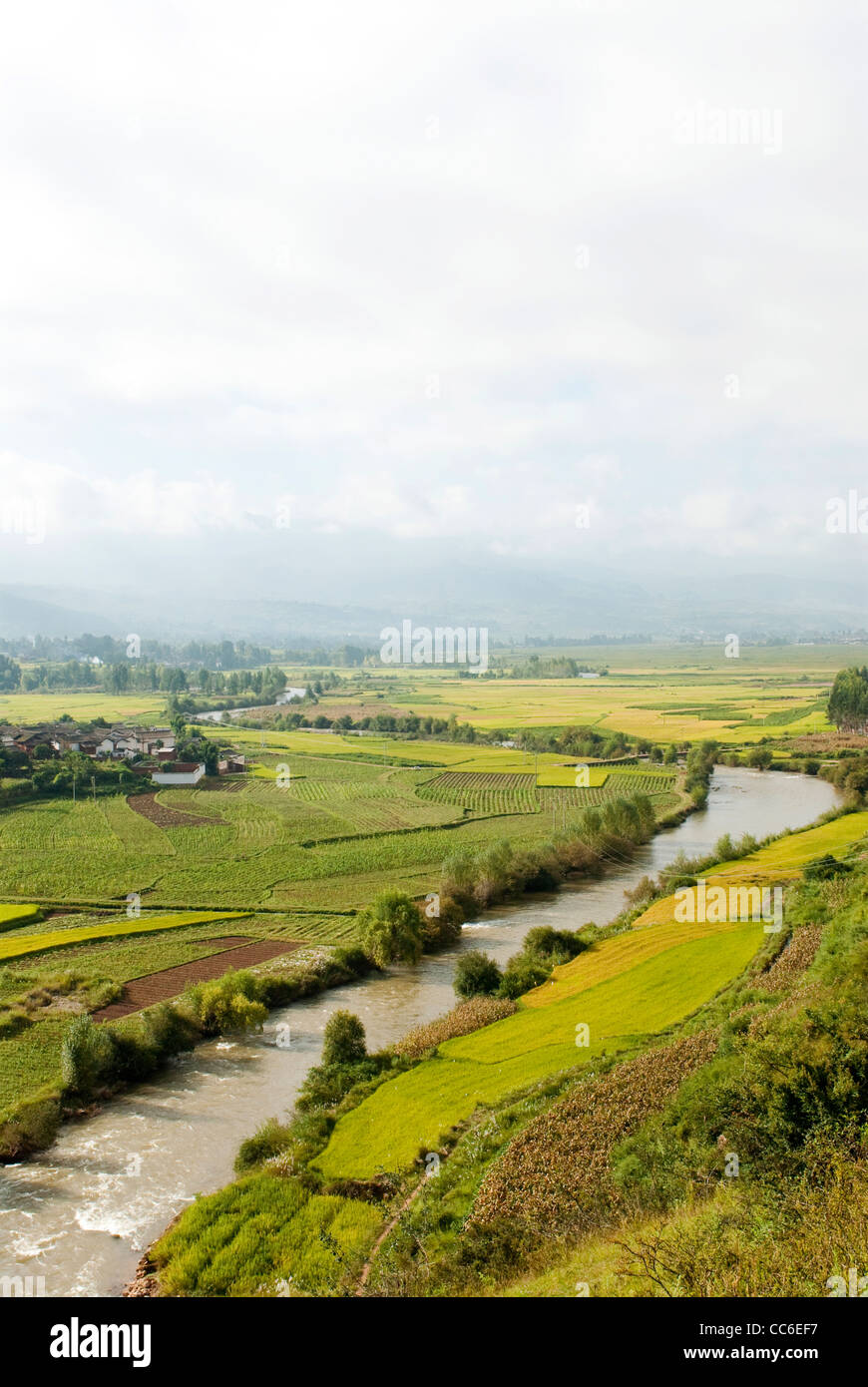 Vue aérienne des terres agricoles, Shaxi, ville ancienne, Dali, Yunnan, Chine Banque D'Images