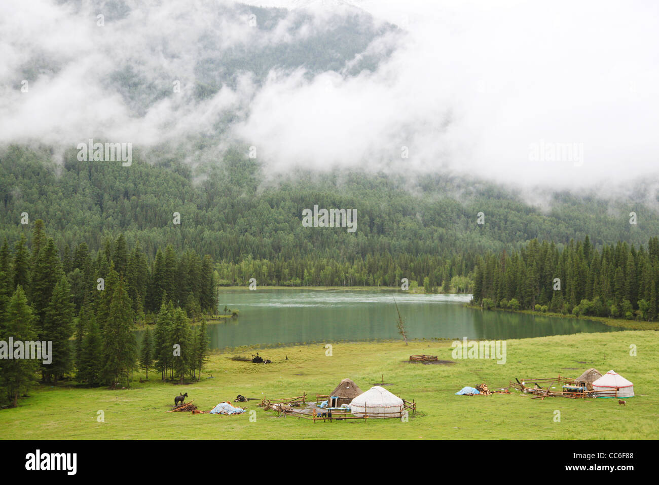 Yourte à côté du lac Kanas, Préfecture de l'Altaï, Xinjiang, Chine Banque D'Images