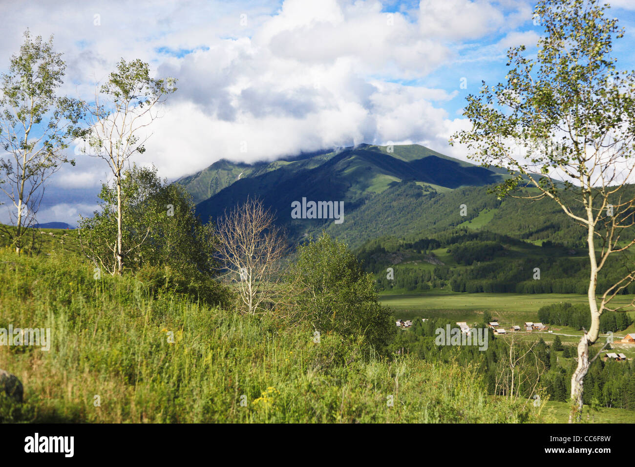 Montagnes de l'Altaï, Préfecture de l'Altaï, Xinjiang, Chine Banque D'Images