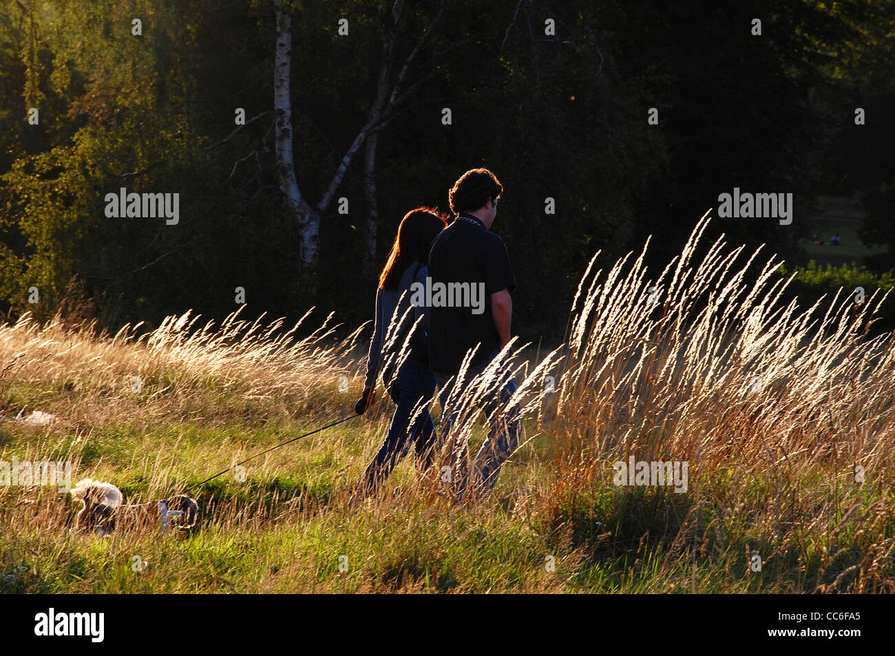 Jeune couple walking with dog, Londres, Royaume-Uni Banque D'Images