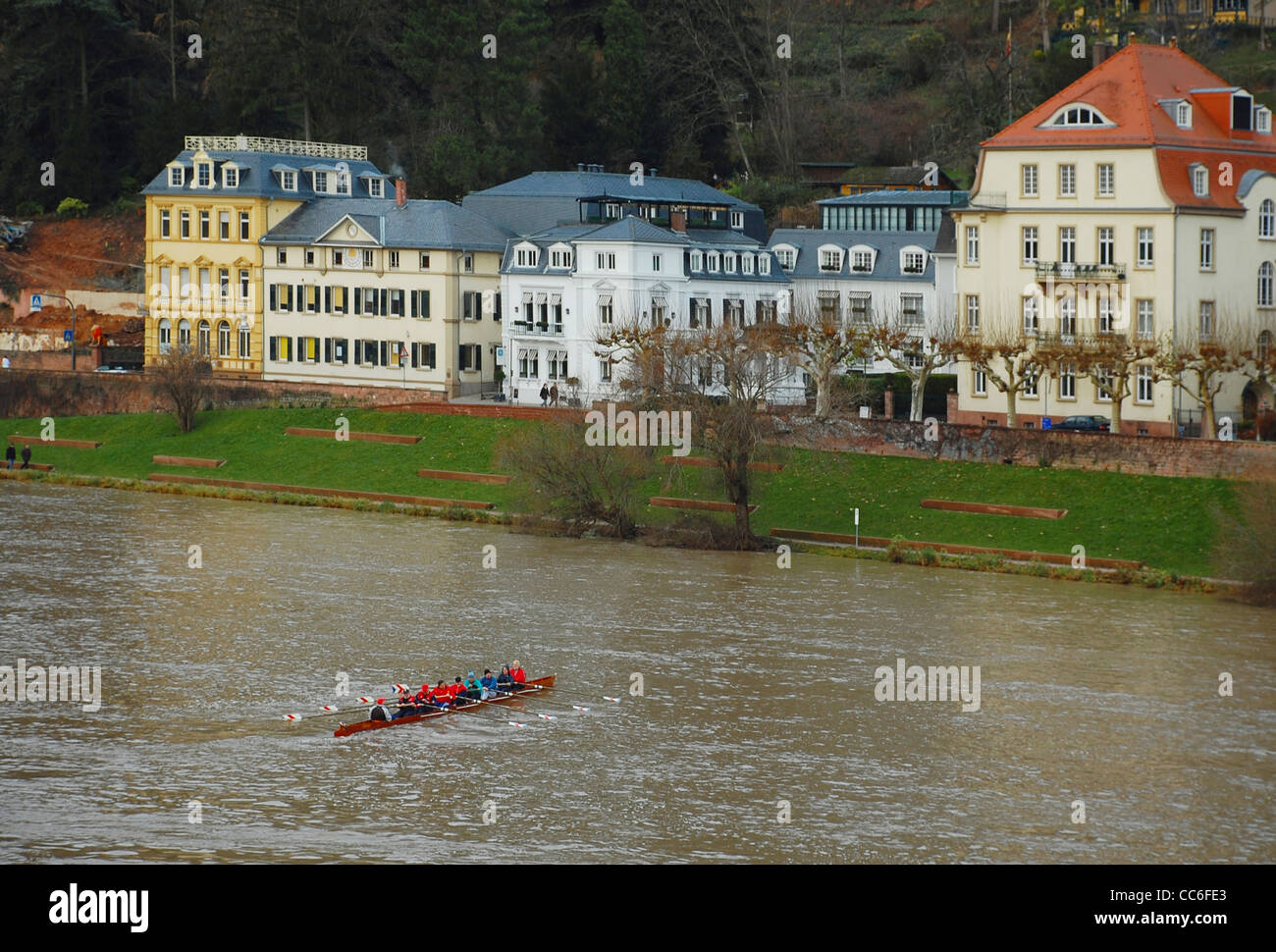 La pratique de l'équipe d'aviron sur la rivière Neckar, Heidelberg, Allemagne Banque D'Images