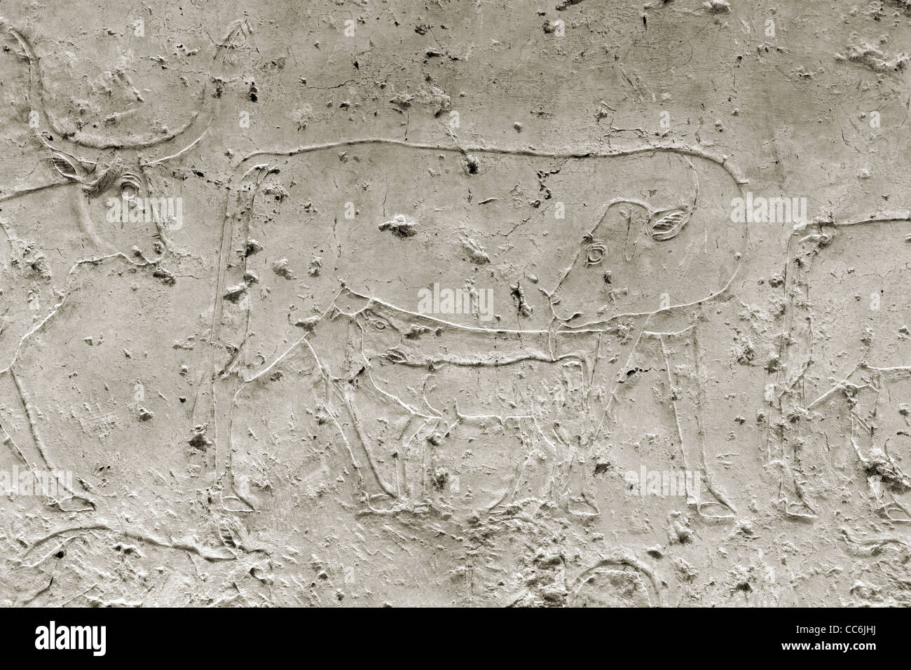 Reliefs dans l'Empire du Milieu tombe de Ukh Hotep Fils de Senbi à Meir , nord ouest d'Assiout en moyenne Égypte Banque D'Images