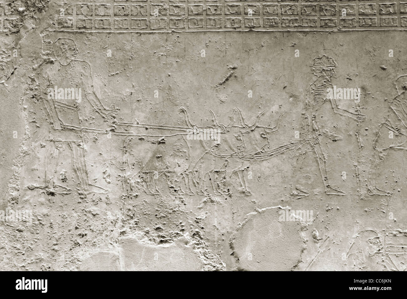Reliefs dans l'Empire du Milieu tombe de Ukh Hotep Fils de Senbi à Meir , nord ouest d'Assiout en moyenne Égypte Banque D'Images