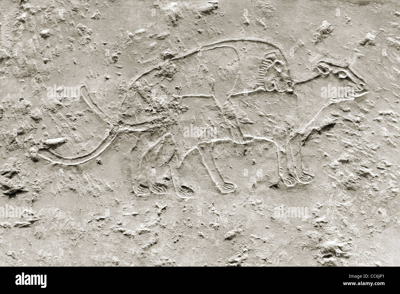 Reliefs dans l'Empire du Milieu tombe de Ukh Hotep Fils de Senbi à Meir , nord ouest d'Assiout en moyenne Égypte Banque D'Images