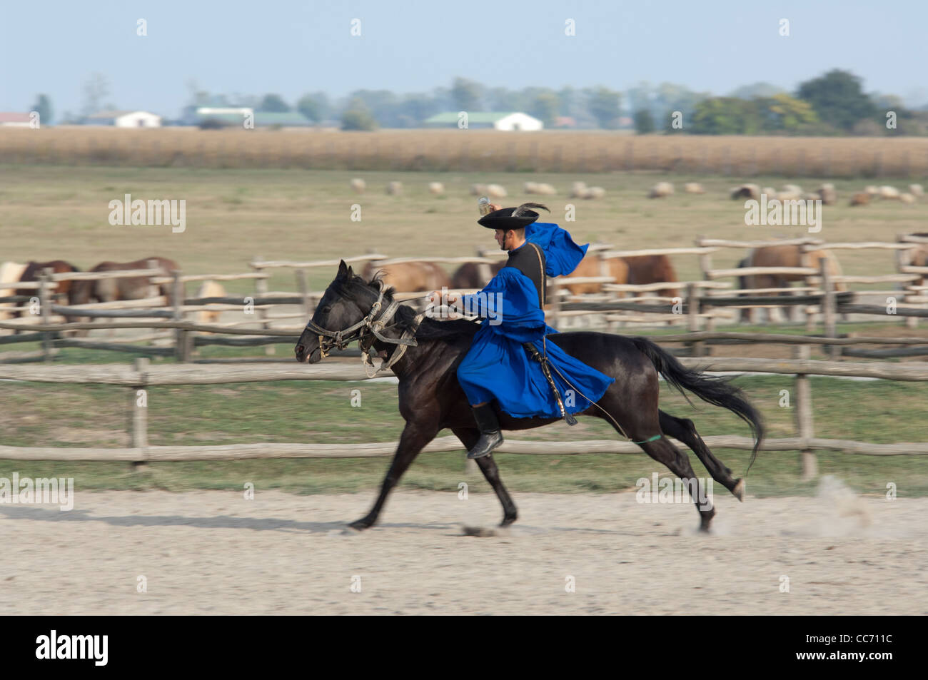 La Hongrie, kalocsa, Great Plains (Puszta hongroise traditionnelle.) cowboy ranch & show à bakodpuszta Equestrian Center. Banque D'Images