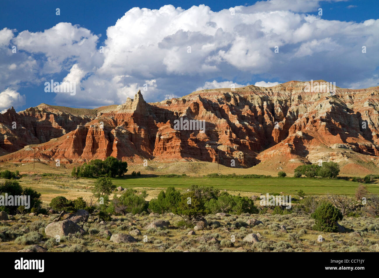 Falaises de Red Rock et du foin de luzerne fraîchement récoltés près de Dubois, Wyoming, USA. Banque D'Images