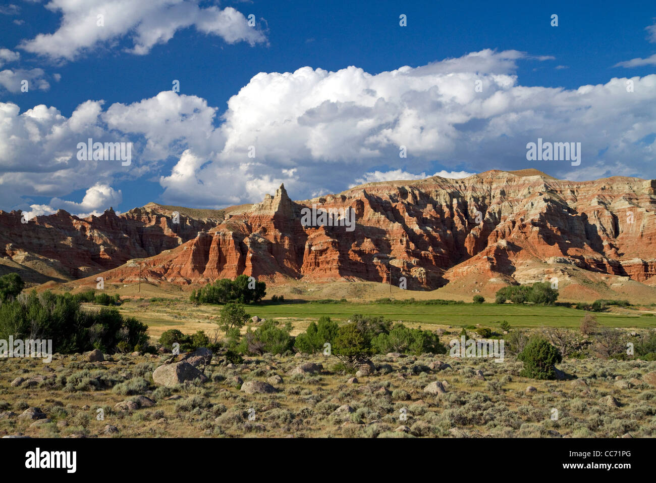 Falaises de Red Rock et du foin de luzerne fraîchement récoltés près de Dubois, Wyoming, USA. Banque D'Images