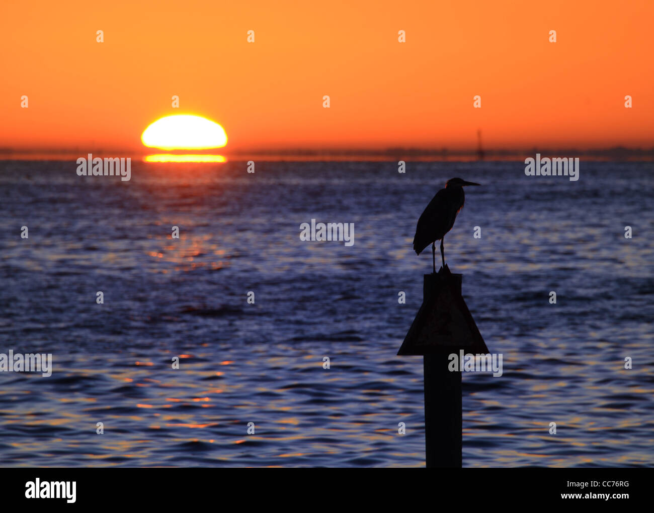 Lever du soleil sur l'eau avec un oiseau sur un pylône Banque D'Images