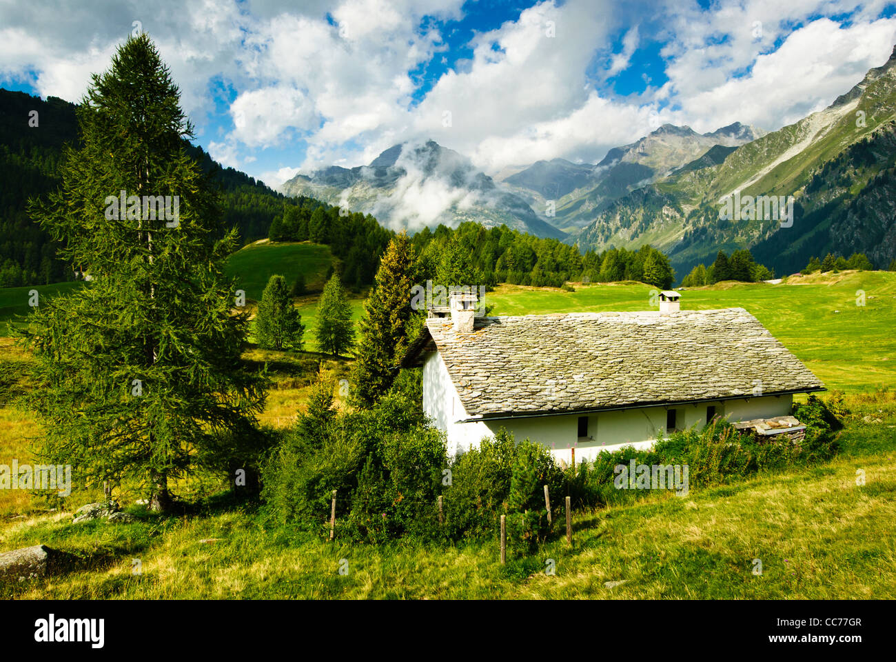 Chalet de montagne sur vivid meadow en Suisse Banque D'Images