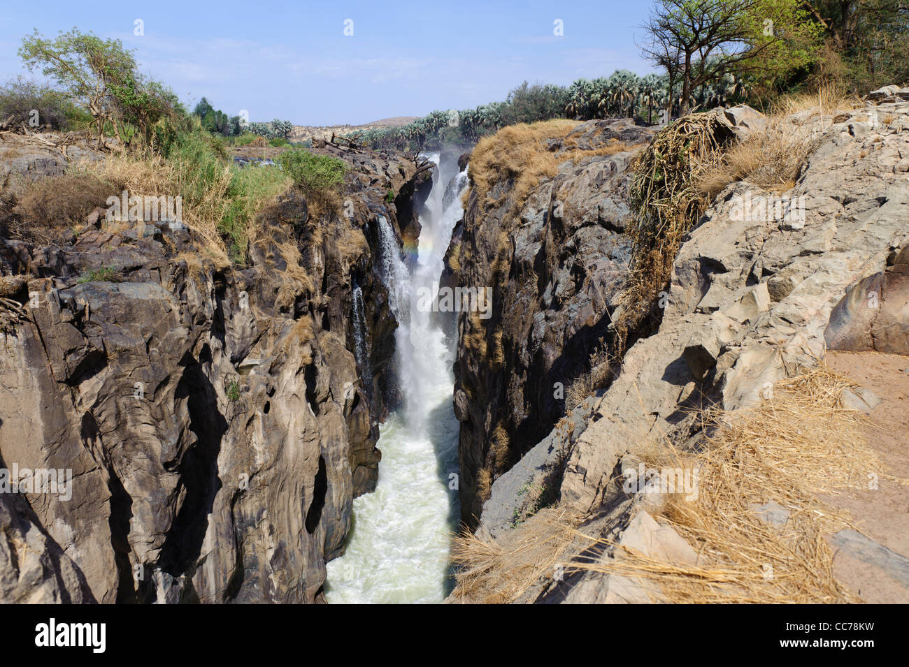 Epupa Falls en novembre. Région de Kunene Kaokoland, la Namibie. Banque D'Images