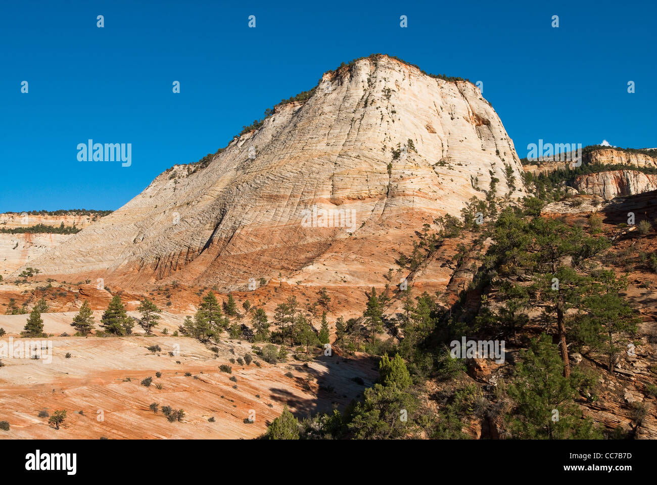 Vue panoramique des falaises de grès dans le parc national de Zion, Utah, USA Banque D'Images