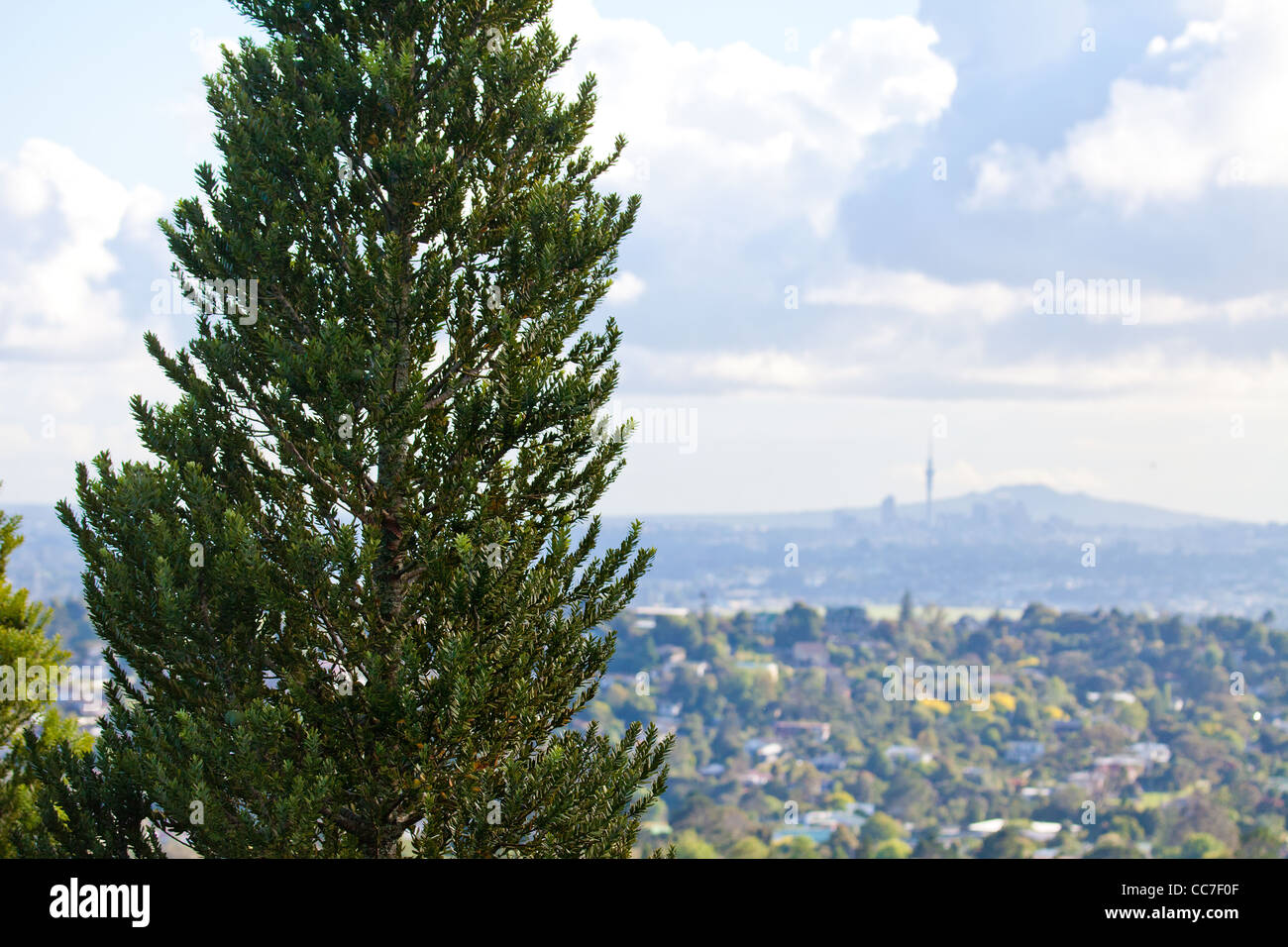 Vue à longue distance de l'Auckland waitakere ranges sur nouveau lynn sandringham île du nord nouvelle-zélande northland tree Banque D'Images