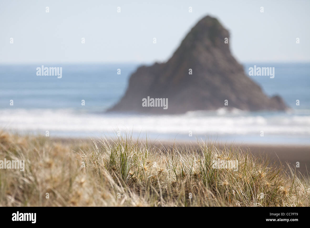 Karekare kare kare beach Waitakere Ranges national park Auckland New Zealand North Island Banque D'Images