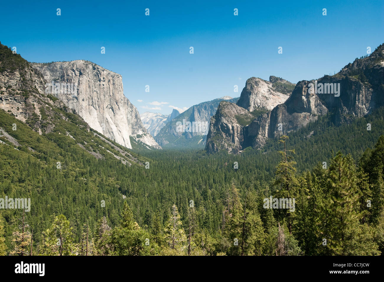 Vue de tunnel dans la région de Yosemite National Park, California, USA Banque D'Images