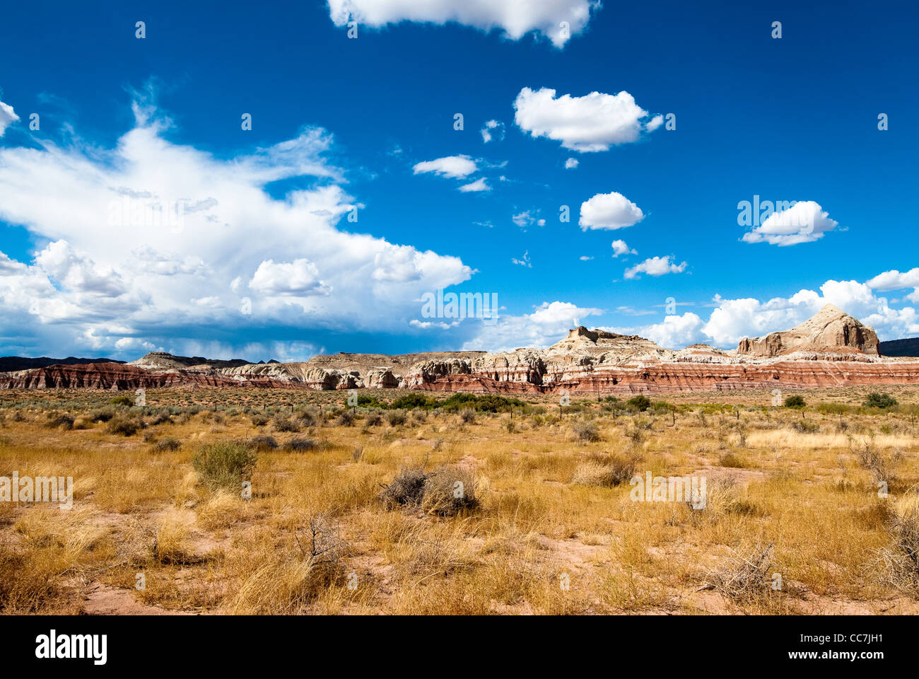 Vue panoramique sur les falaises de grès de l'Utah, USA Banque D'Images