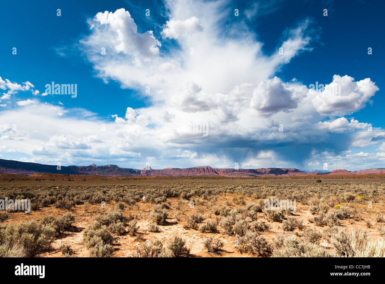Vue panoramique sur les falaises de grès de l'Utah, USA Banque D'Images