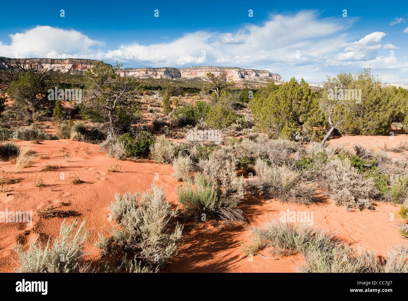 Vue panoramique des falaises de grès de l'Utah, USA Banque D'Images