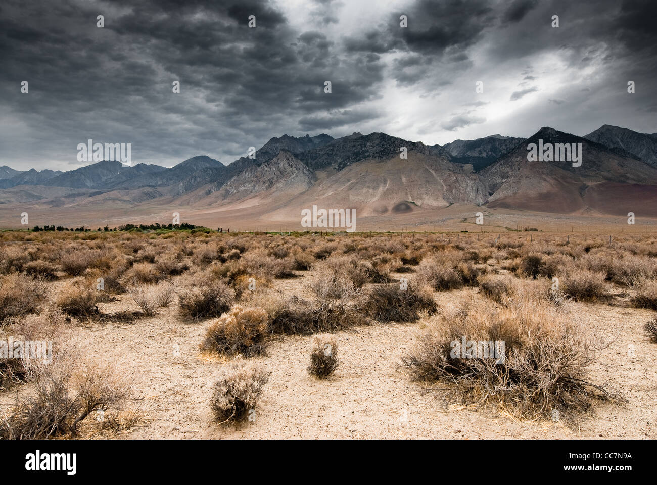 Vue panoramique de sombres nuages dans Death Valley National Park, Nevada, USA Banque D'Images
