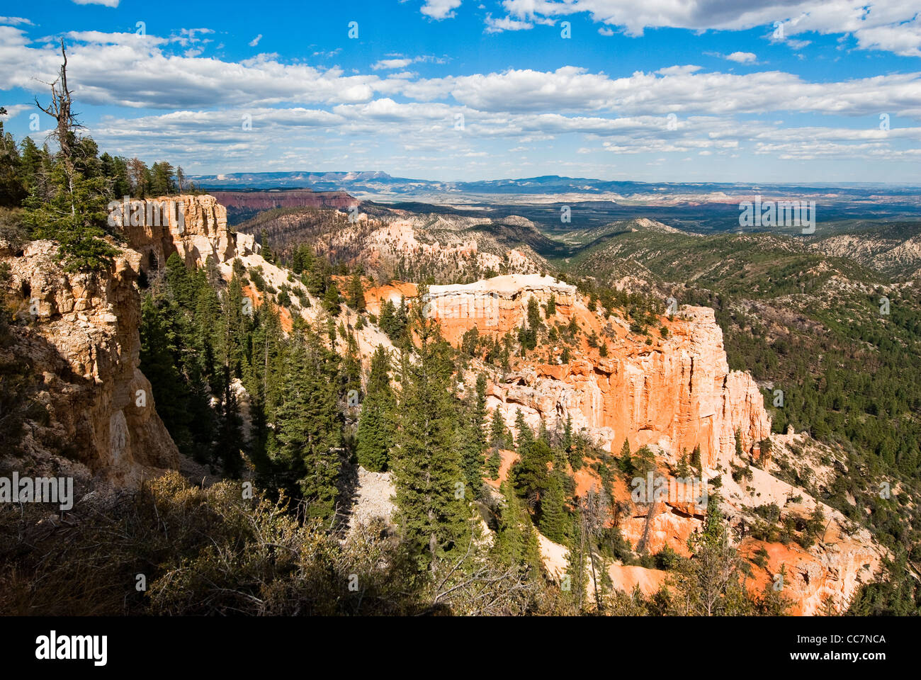 Bryce National Park, USA. panorama depuis farview point dans Bryce. Banque D'Images