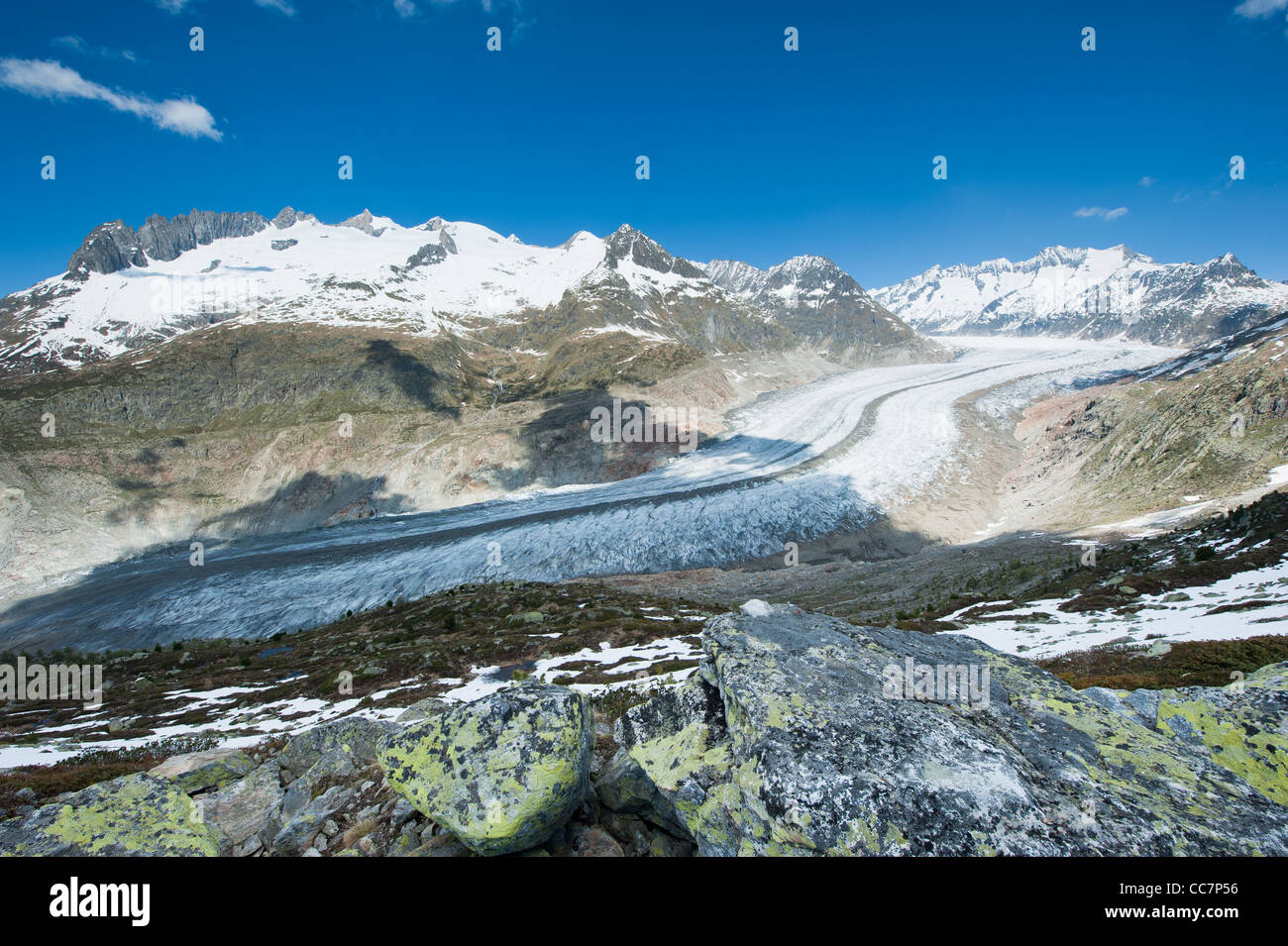 Glacier d'Aletsch, voir nouvelle Bettmerhorn, Valais, Suisse Banque D'Images