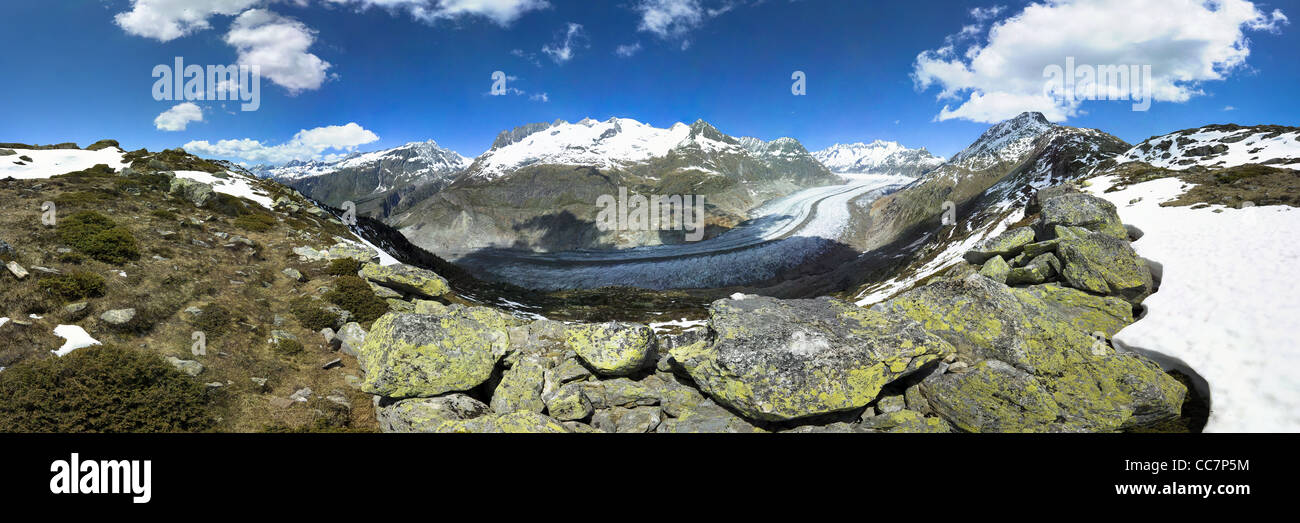 Glacier d'Aletsch, vue du Bettmerhorn, Valais, Suisse Banque D'Images