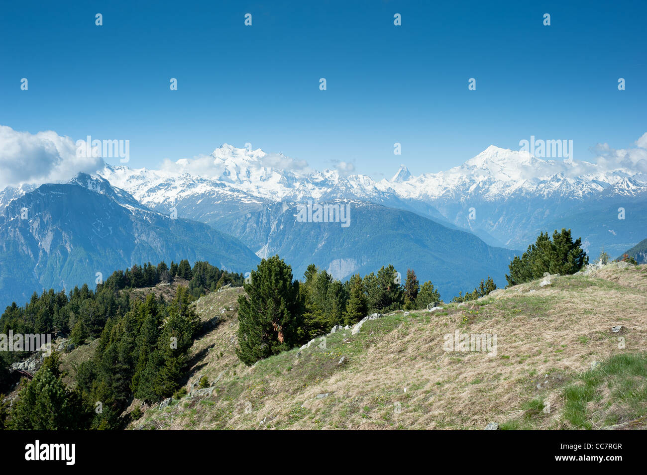 Mischabel, le Cervin et le Weisshorn des pics de montagne, vue d'Reiderhorn, Valais, Suisse Banque D'Images