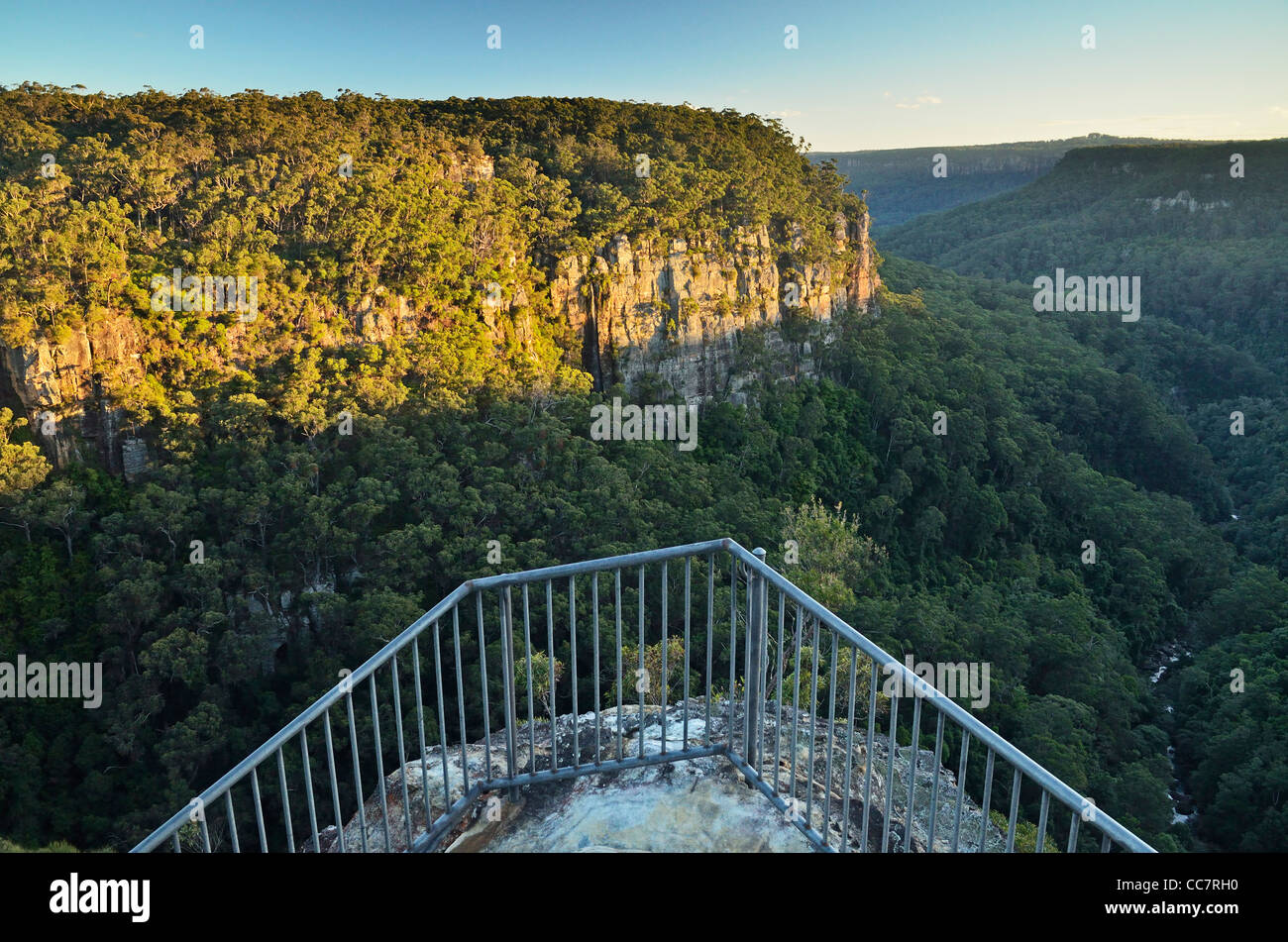 Kangaroo Valley, Parc National de Budderoo, New South Wales, Australie Banque D'Images