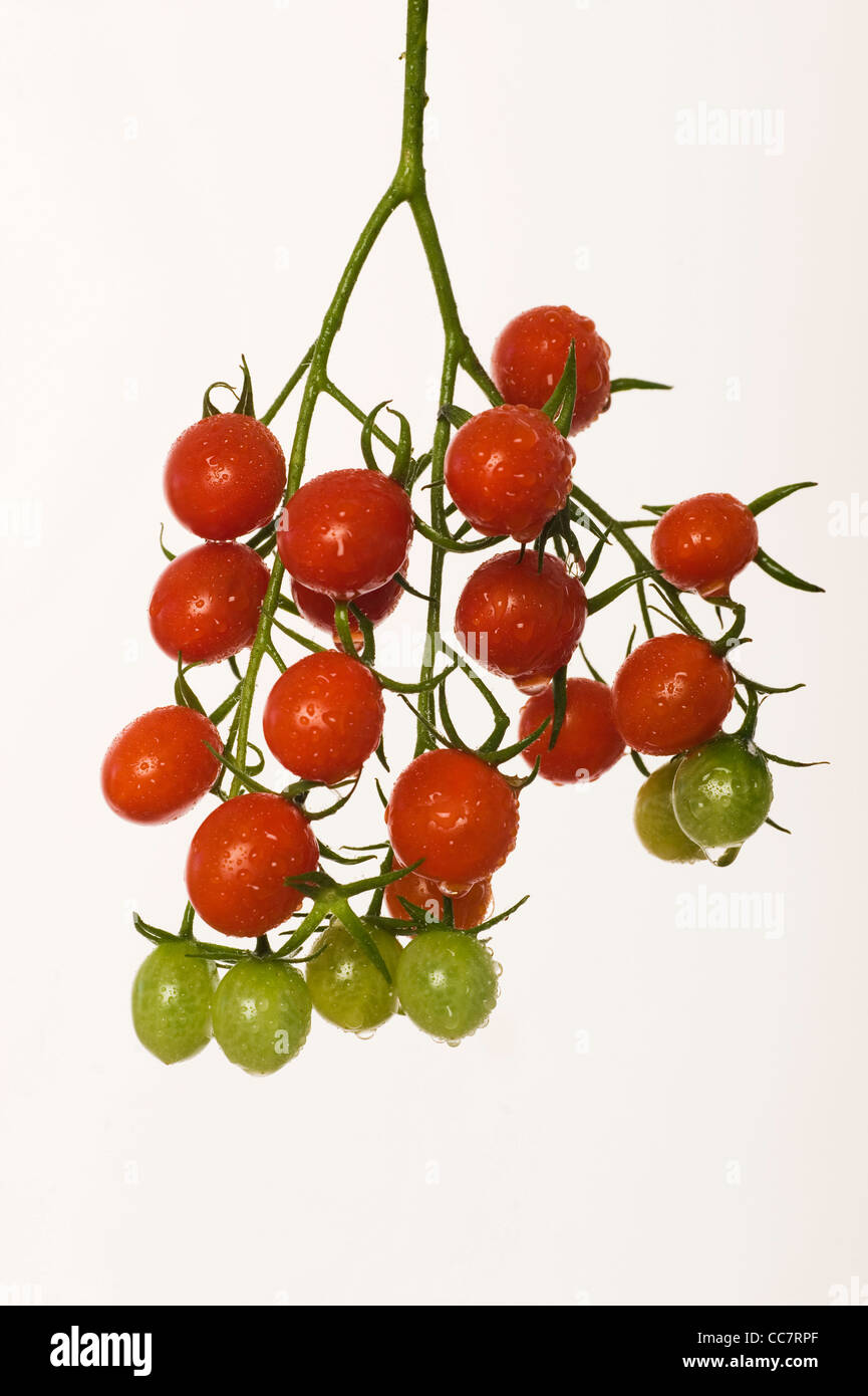 Cherry tomates raisins Banque D'Images