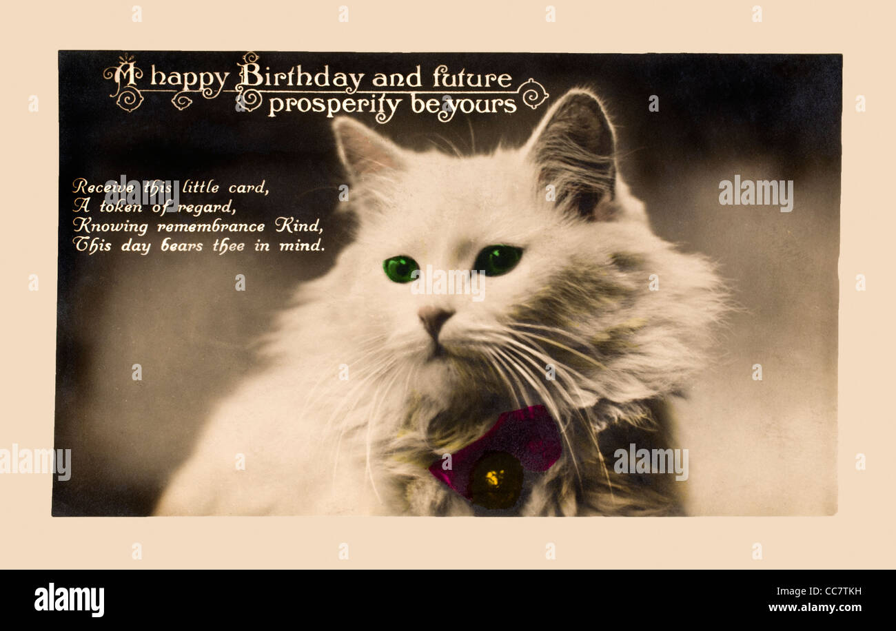 19 Carte D Anniversaire Sous La Forme D Une Carte Postale Chat Blanc Aux Yeux Verts Comprend Le Verset Photo Stock Alamy 19 Carte D Anniversaire Sous La Forme D Une Carte Postale Chat Blanc Aux Yeux Verts Comprend Le Verset Photo Stock Alamy