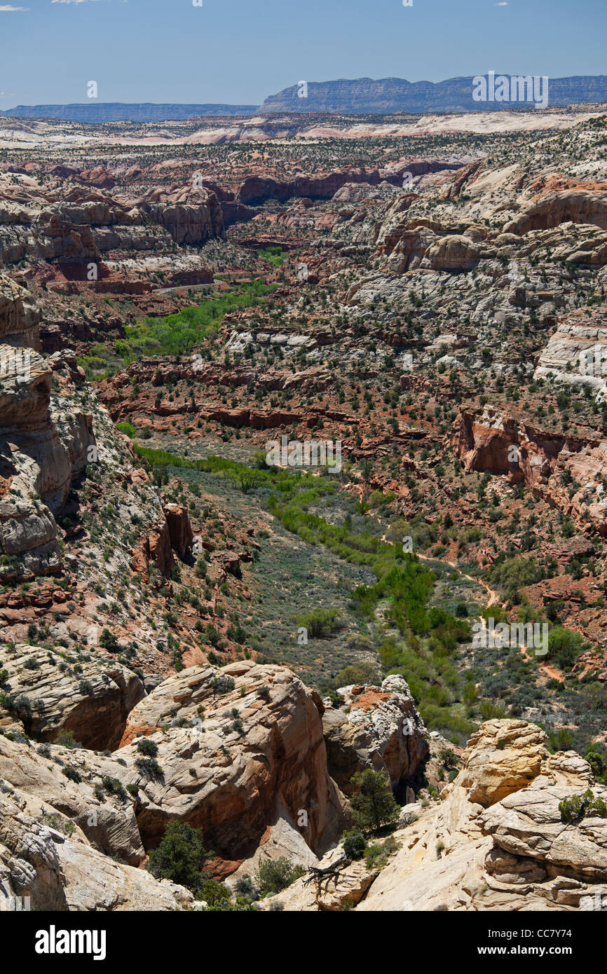 Grand Staircase Escalante National Monument, Utah, USA Banque D'Images