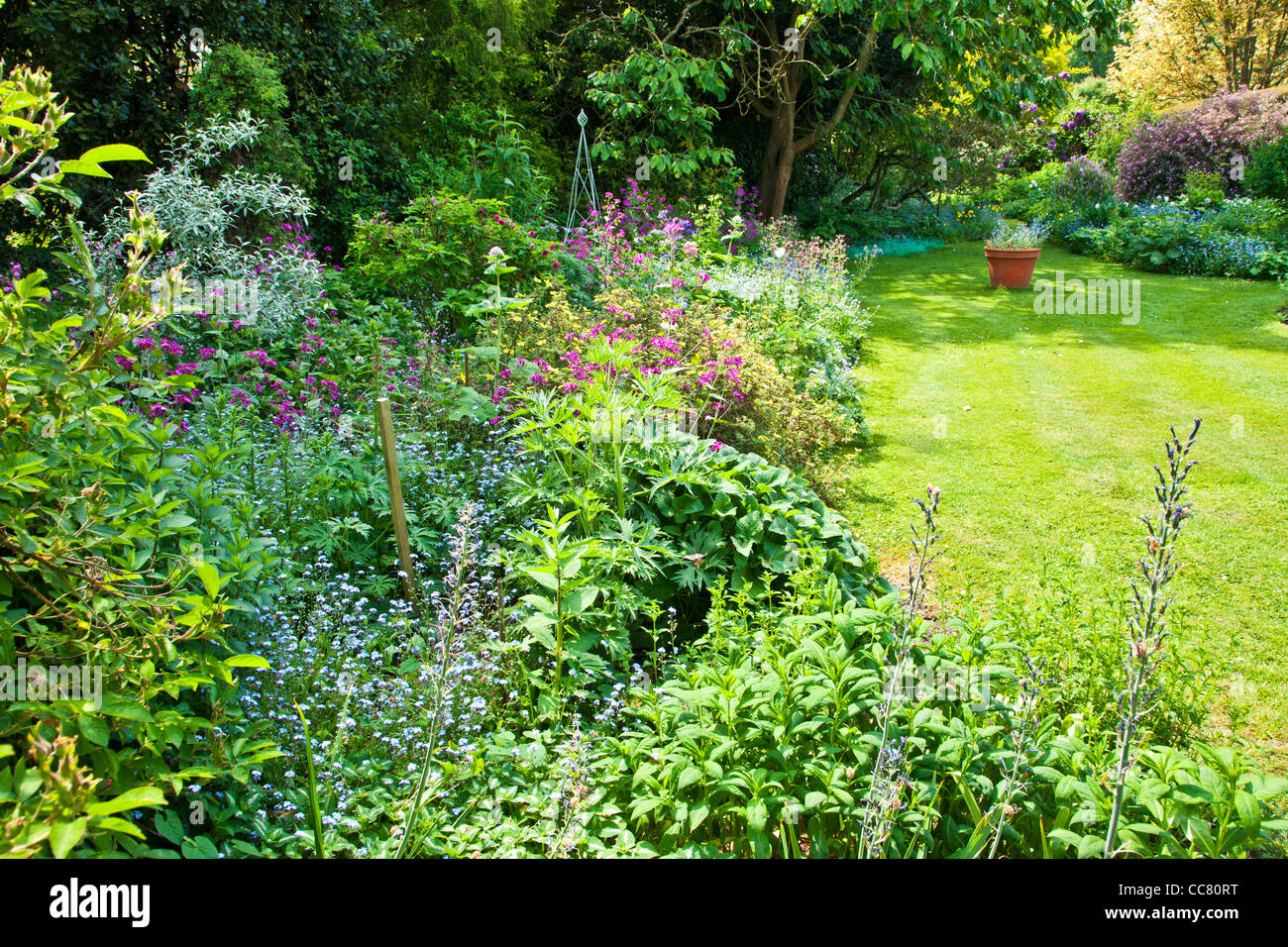 Un chemin herbeux entre vivaces et arbustes frontières dans un manoir de campagne Anglais jardin au début de l'été dans le Wiltshire, England, UK Banque D'Images