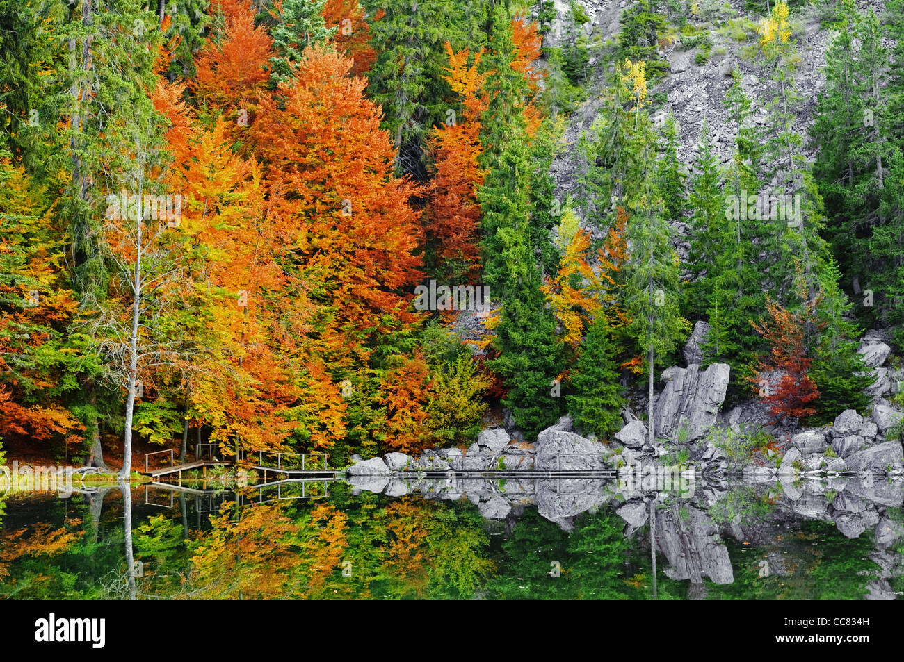 Reflet de la forêt en automne des couleurs dans le lac Vert, France Banque D'Images