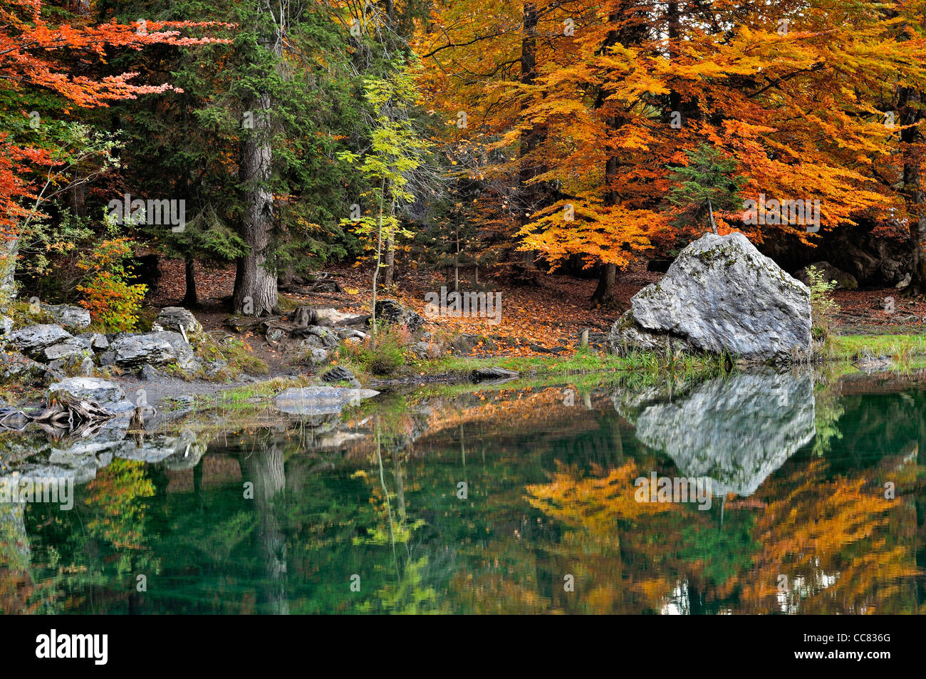 Reflet de la forêt en automne des couleurs dans le lac Vert, France Banque D'Images